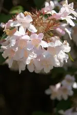 07_06_2012 (20).webp