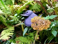 _verbluehte Schafgarbe.webp