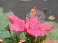 DSCF2544.webp