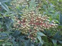 034.webp