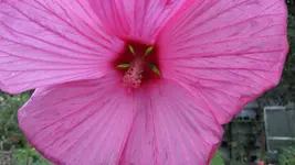 IMG_0067.webp