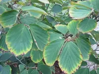 025.webp