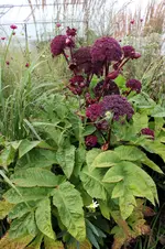 floriade2012_2.webp