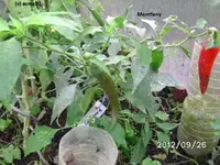 BILD0887.webp