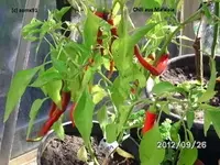 BILD0889.webp