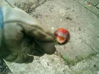 CIMG0002.webp