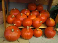 CIMG1508.webp