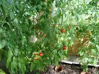 001.webp