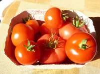 003.webp