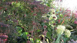 DSCN3798.webp