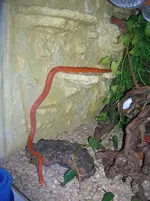 DSCN3795.webp