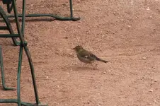 2012_0925Herbst0028.webp