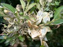 DSCN6345.webp