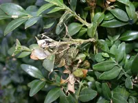 DSCN6347.webp
