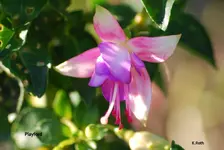 DSC_0167.webp