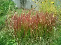 CIMG0019.webp
