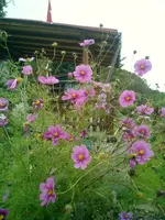 CIMG0021.webp
