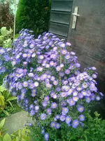 CIMG0030.webp