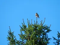 020.webp
