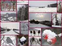 Januar 2010 -1.webp