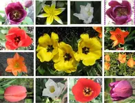 April 2010-2.webp