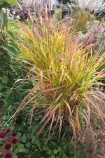 2012_0926Herbst0017.webp