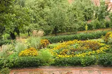 2012_0922Sommer0011.webp