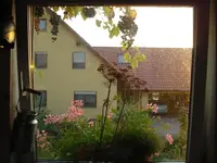 DSC07503.webp