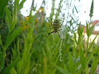 DSC07301.webp