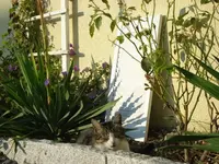 DSC07299.webp