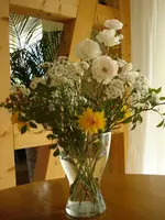 DSC07221.webp