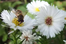 2012_0926Herbst0012.webp