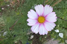 2012_0926Herbst0019.webp