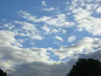 DSC00451.webp