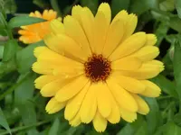 CIMG1909.webp