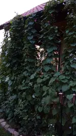 24.09 (3).webp