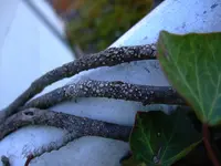 DSCF5387.webp