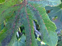 DSCF5386.webp