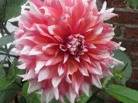 Bild 843.webp