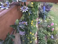 Passi11_01.webp