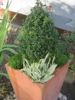 003.webp