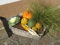 004.webp
