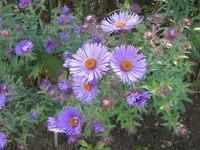 092.webp