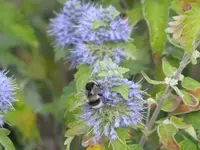 116.webp