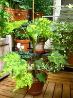IMG_3866.webp