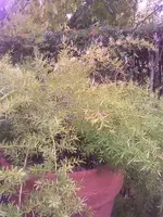 Bild019.webp