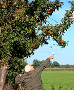 Apfelpflücker_400.webp