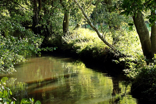 Indian Summer day at the river_640.webp