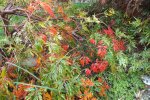 2012_0930Herbst0021.jpg