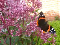 DSCF0271.webp